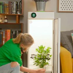 Effortless Gardening: The Latest Automated Grow Box Solutions