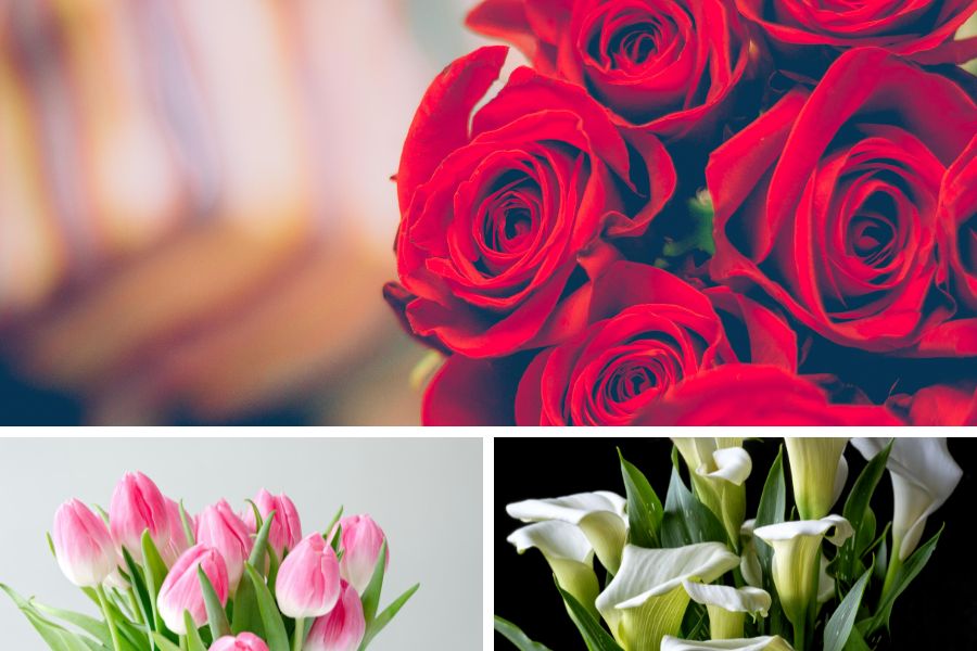 Best Flowers for Valentine’s Day Dealszo