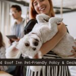 Red Roof Inn Pet-Friendly Policy & Deals Dealszo