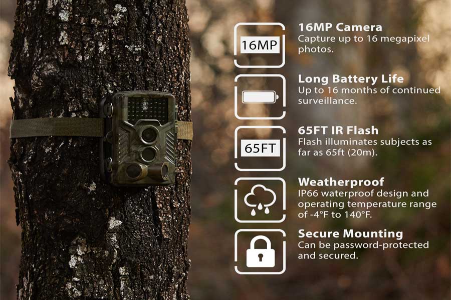 Rexing Woodlens H1 HD 16MP Trail Camera Day & Night