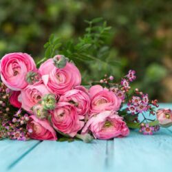 Flower Bouquet