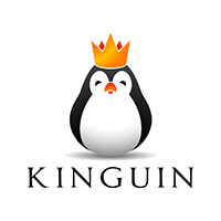 Use your Kinguin coupons code or promo code at 
         kinguin.net